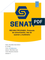 Red Multiplexado PDF