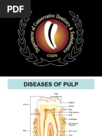 Diseases of Pulp