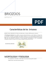 Briozoos