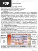 Tema - 4 - Rocas Igneas