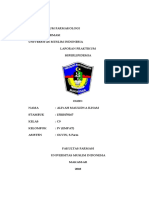 Laporan Hiperlepidemia