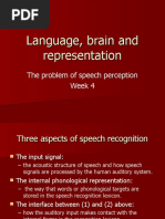 Language, Brain and Representation