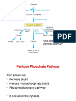 HMP Pathway PDF