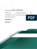 Normas Profesionales de Auditoría Del Sistema Nacional de Fiscalización