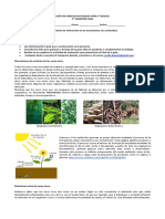 Guía 1 Ciencias - 7mo