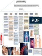 Fisiologia Del Masaje Terapeutico