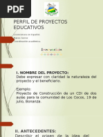 Perfil Proyecto