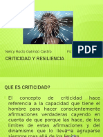 Criticidad y Resiliencia