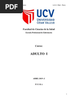 Promocion de La Salud en El Adulto y Teorias PDF