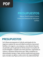 Presupuestos Presentacion