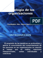 Psicologia Organizacional 