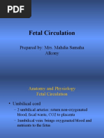 Human Fetal Circulation For Nursing