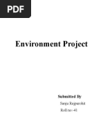 Environment Project: Submitted by