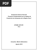 Informe de Evaluación Externa Final Proyecto PRO ART PUNO - 9