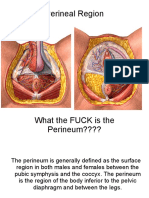 Perineal Region