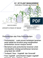 DBT 8 - Strategi Pemeliharaan