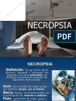 6 Necropsia-Autopsia