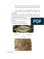 ACARA 4 - Paleo Analisis