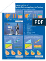 Interpretation of CPET Poster