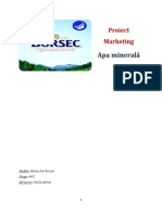 Borsec Marketing International