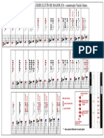 Digitația Fluierului În D - Construcție Vasile Jitaru