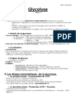 Biochimie - Glucides