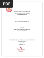 SARA - Análisis Conflictos Laborales