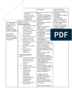 Etapas de La Rehabilitacion