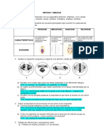 MITOSIS y MEIOSIS Taller