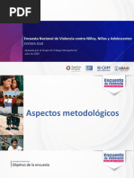 (2019) - Encuesta Nacional de Violencia Contra Niños, Niñas y Adolescentes. Ministerio de Salud.