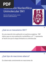 Exposición SN1 Parcial