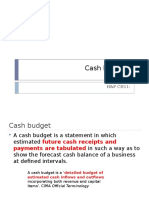 Cash Budgets