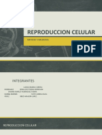 Reproduccion Celular