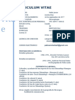 Curriculum Vitae Pablo Arrieta