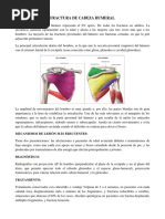 Fractura de Cabeza Humeral