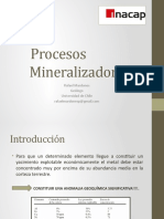 Procesos Mineralizadores