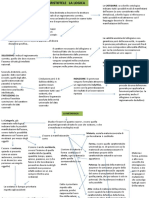 Aristotele Mappa Completa PDF