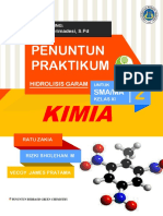 Modul Hidrolisis Garam PDF