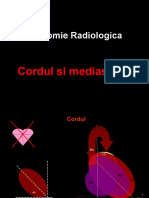 Anatomia CORDULUI SI MEDIASTINULUI (PT Rez Cardio)