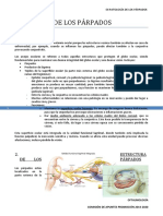 E6 - Patología de Los Párpados