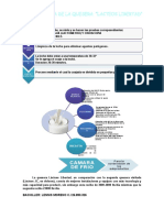 Flujograma Quesera Lacteos Libertad