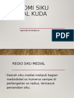 Daerah Siku Medial Kuda