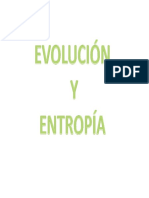 1.1 Entropia