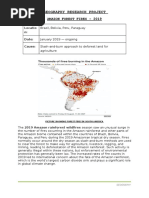 Geography Research Project: Amazon Forest Fires - 2019