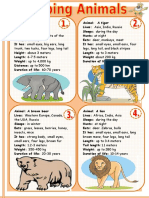 Describing Animals 1 - 66078