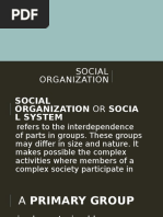 Social Organization