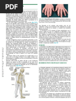 Osteoartritis Harrison