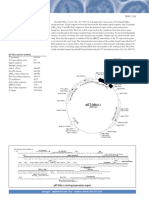 pET-38b (+) Vector: Developed Through Collaboration Between Novagen and CBD Technologies, Inc