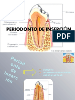 Cemento Radicular.2da Exp DORA