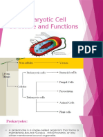 Prokaryotic Cell Structure and Functions